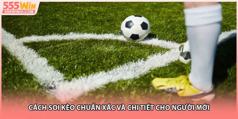 Cách soi kèo chuẩn xác và chi tiết cho người mới