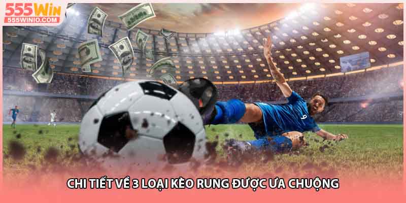 Chi tiết về 3 loại kèo rung được ưa chuộng