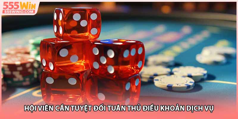 Hội viên cần tuyệt đối tuân thủ điều khoản dịch vụ