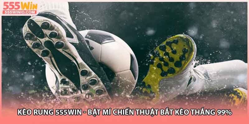 Kèo Rung 555WIN - Bật Mí Chiến Thuật Bắt Kèo Thắng 99% 