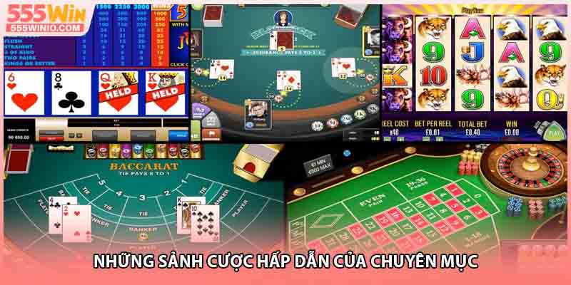 Những sảnh cược hấp dẫn của chuyên mục